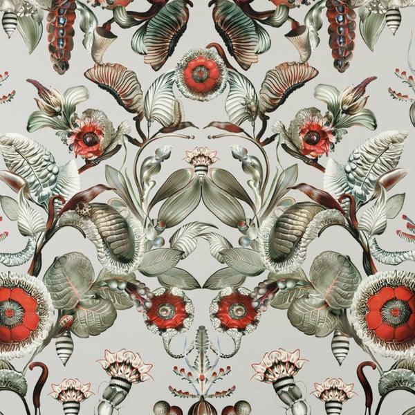 Dear Ingo - Moooi